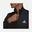  adidas Primegreen Essentials Small Logo Track Suit Erkek Eşofman Takımı