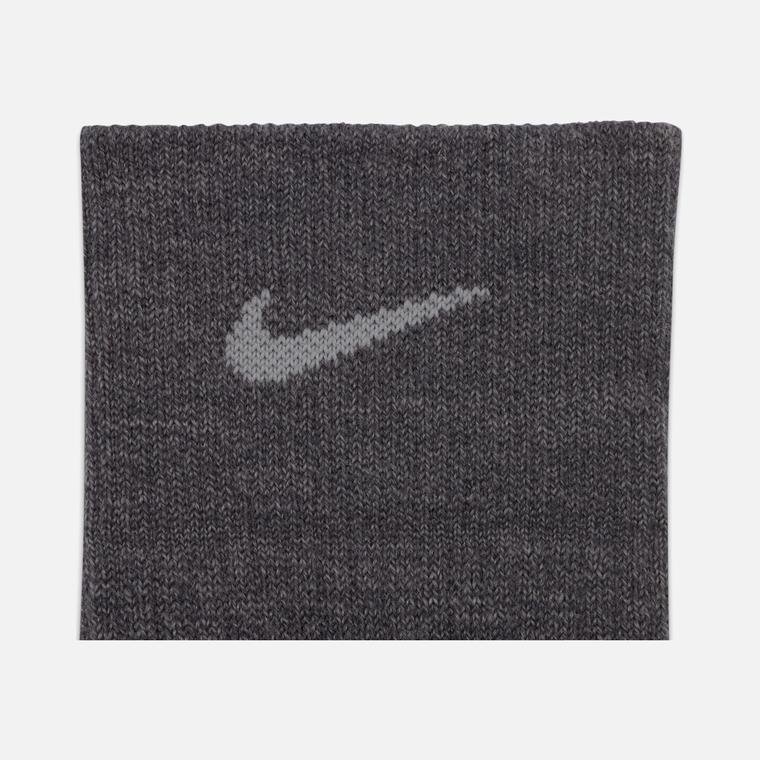 Nike Everyday Essentials Cushioned Crew Training (2 Pairs) Erkek Çorap