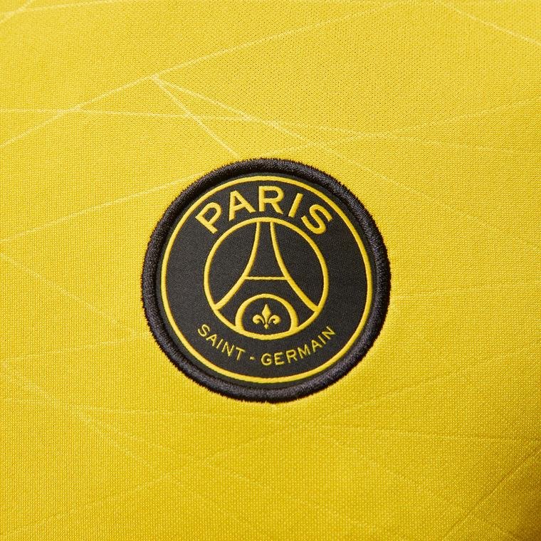 Nike Paris Saint-Germain Academy Pro Jordan Dri-Fit Short-Sleeve Erkek Tişört