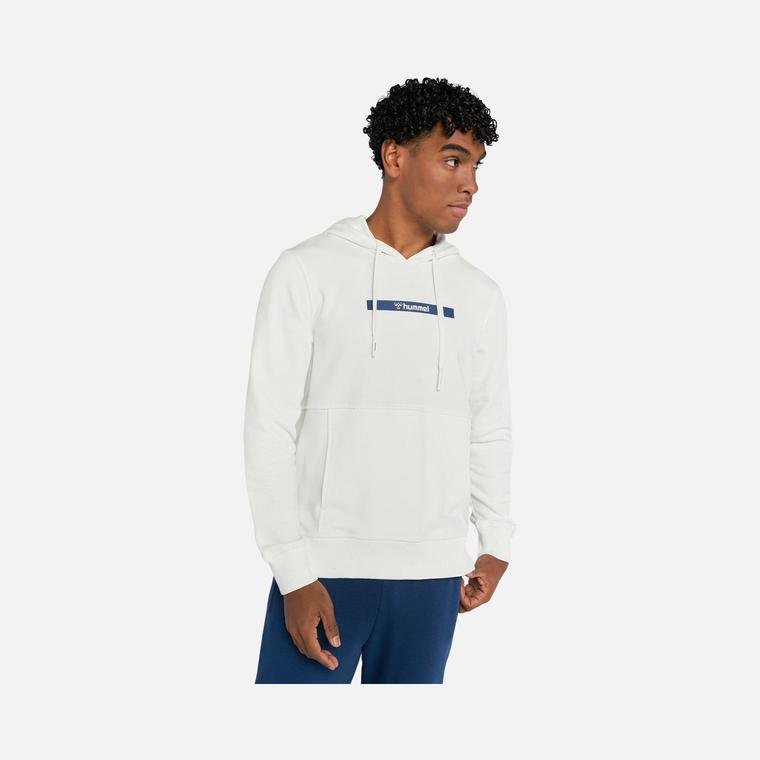 Hummel Sportswear Frank Hoodie Erkek Sweatshirt